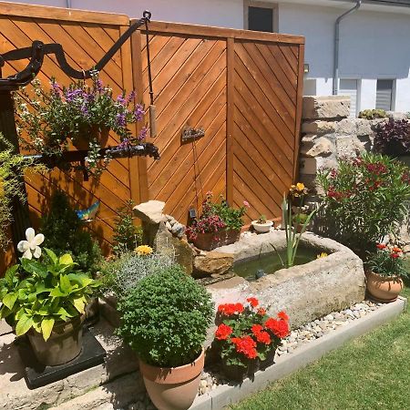 Ferienwohnungen Zum Briefmarkenhaus Mörbisch am See Dış mekan fotoğraf