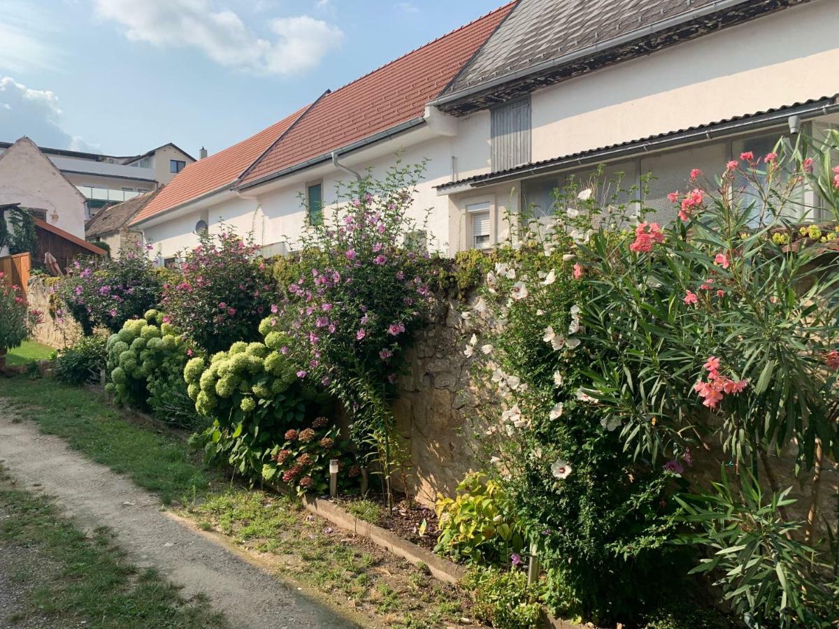 Ferienwohnungen Zum Briefmarkenhaus Mörbisch am See Dış mekan fotoğraf